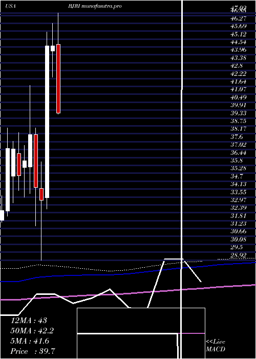 monthly chart BjS