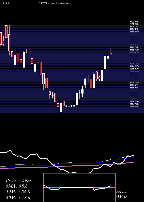 weekly chart AdvisorsharesSabretooth