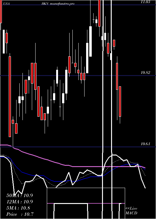Daily chart BlackrockInvestment