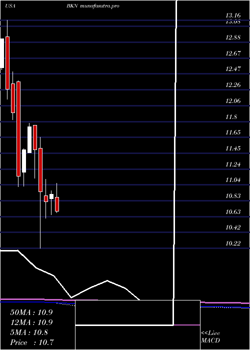 monthly chart BlackrockInvestment