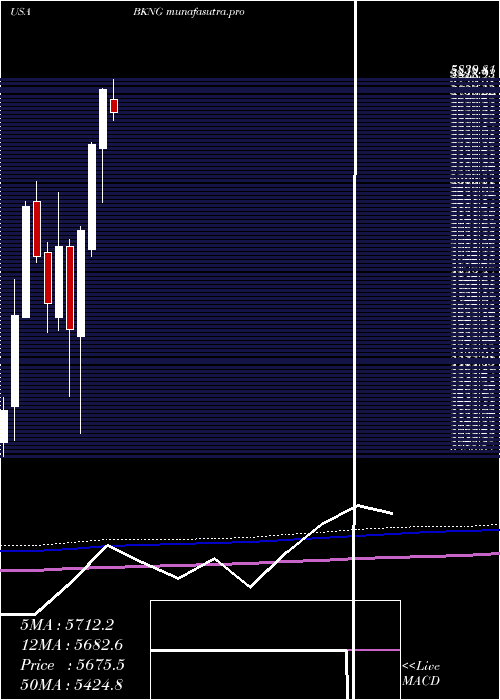 monthly chart BookingHoldings