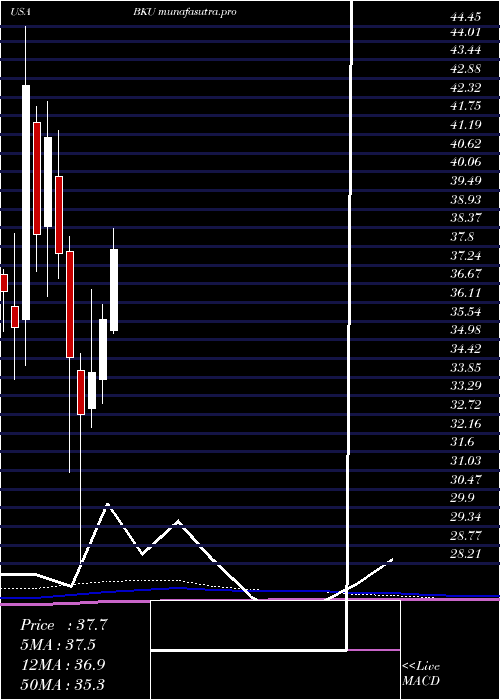 monthly chart BankunitedInc