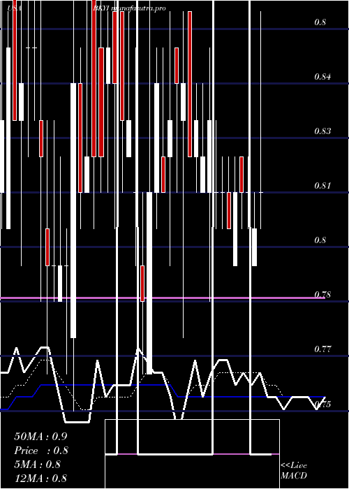 Daily chart BioKey