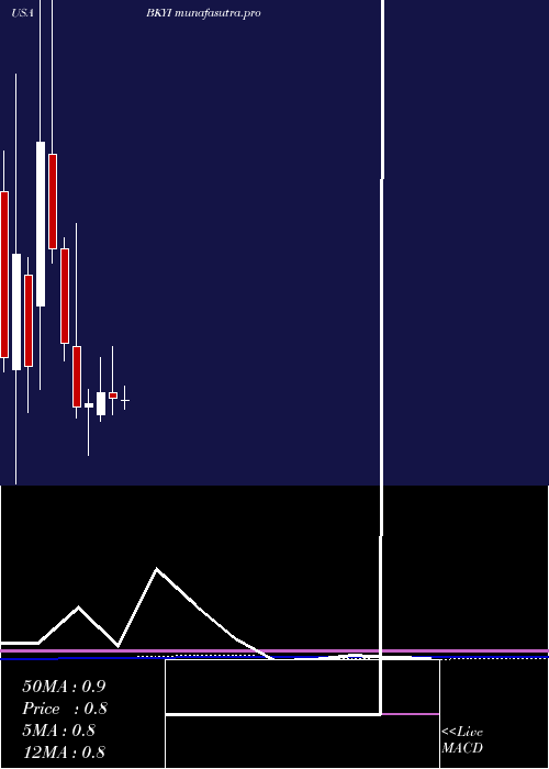 monthly chart BioKey