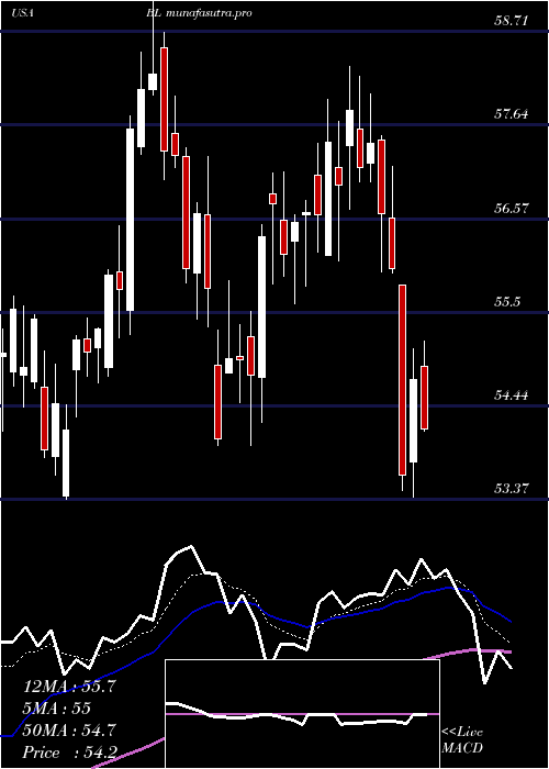Daily chart BlacklineInc