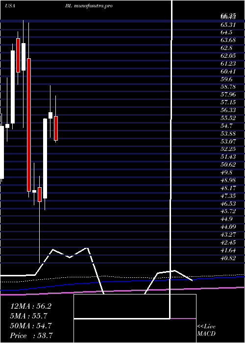 monthly chart BlacklineInc