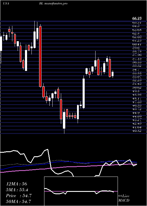 weekly chart BlacklineInc
