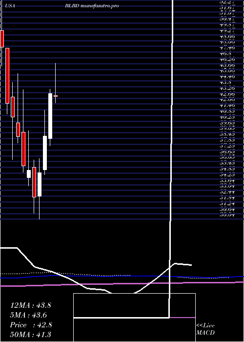 monthly chart BlueBird