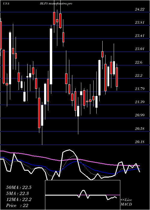 Daily chart BiolifeSolutions