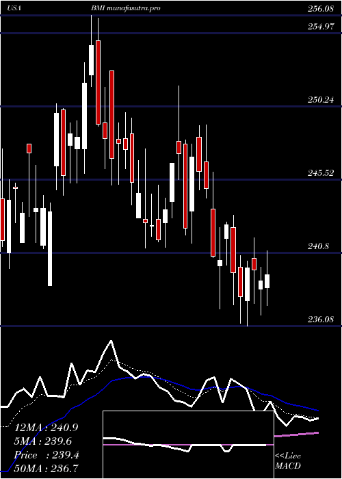 Daily chart BadgerMeter