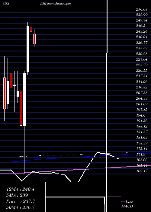 monthly chart BadgerMeter