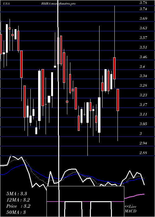 Daily chart BiomericaInc