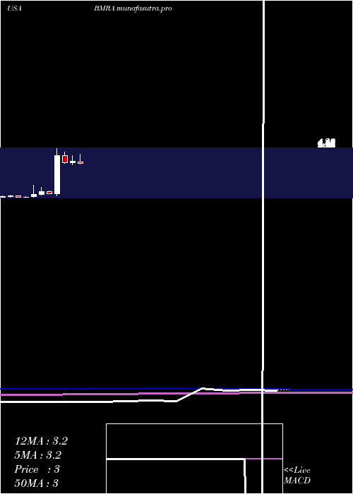 monthly chart BiomericaInc