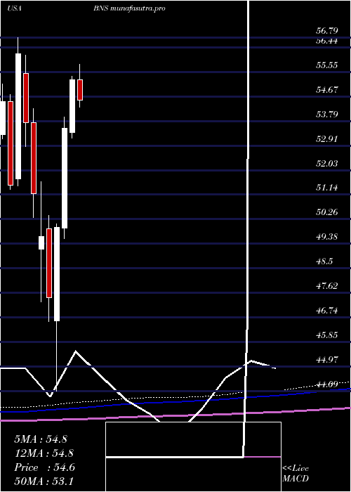 monthly chart BankNova