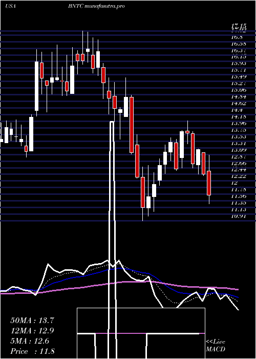 Daily chart BenitecBiopharma