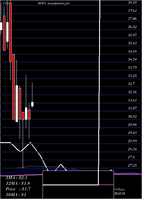 monthly chart BankPrinceton