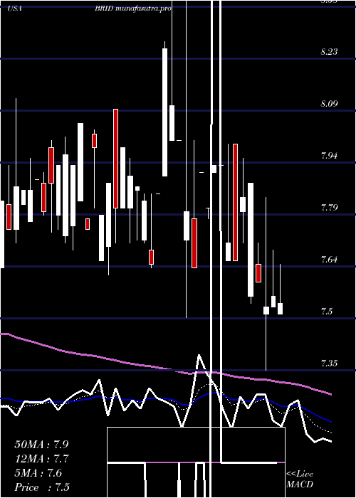 Daily chart BridgfordFoods
