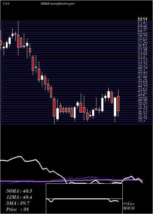  weekly chart BrukerCorporation