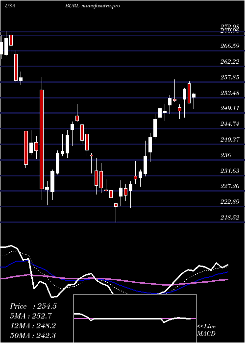 Daily chart BurlingtonStores
