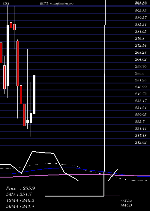 monthly chart BurlingtonStores