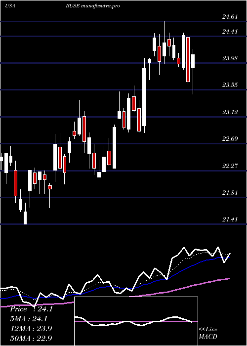 Daily chart FirstBusey
