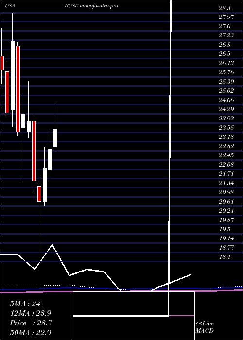 monthly chart FirstBusey