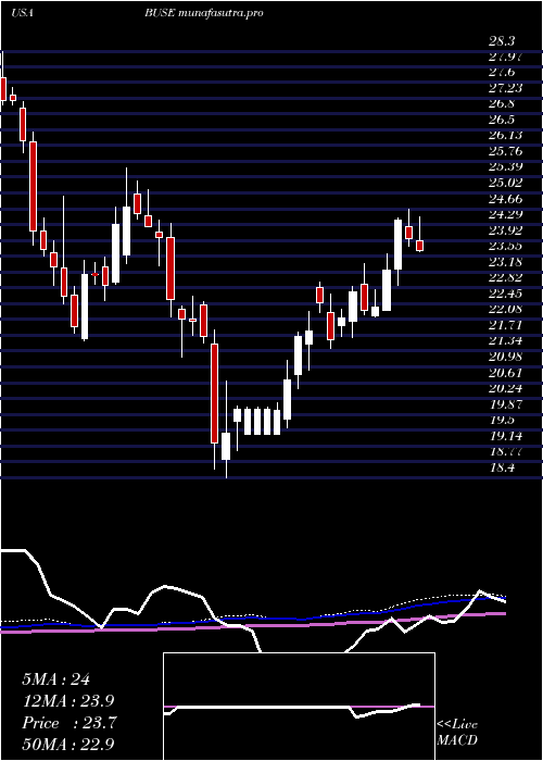 weekly chart FirstBusey