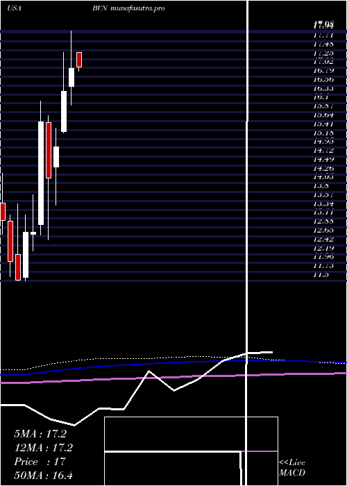  monthly chart BuenaventuraMining