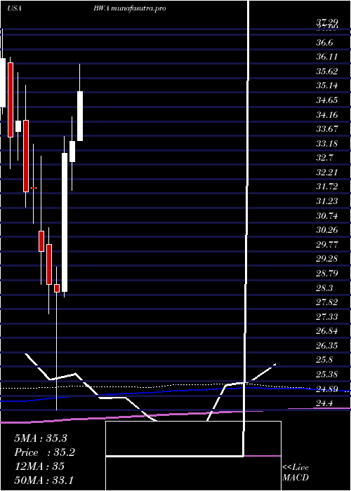 monthly chart BorgwarnerInc