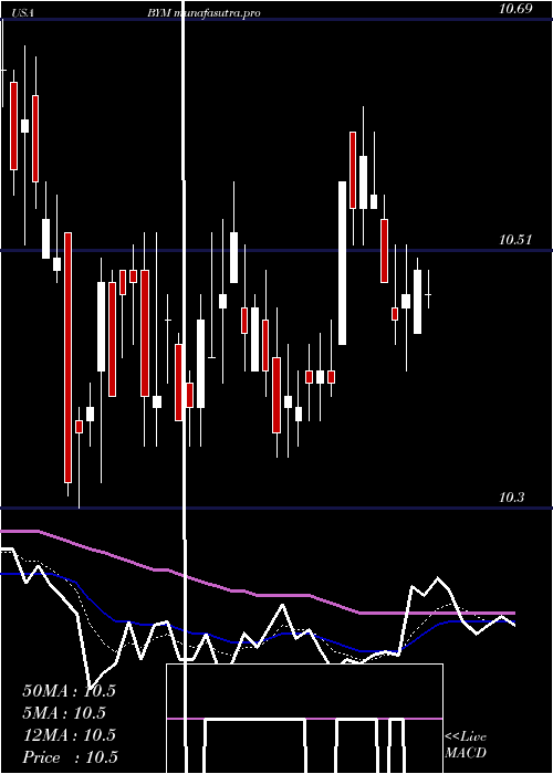 Daily chart BlackrockMunicipal