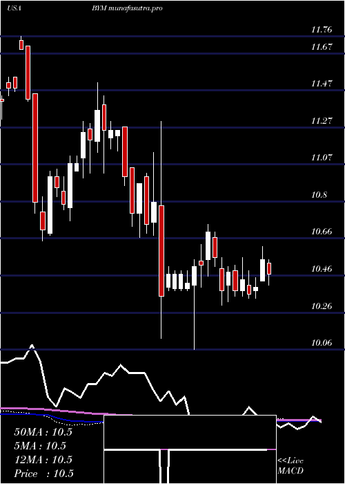 weekly chart BlackrockMunicipal