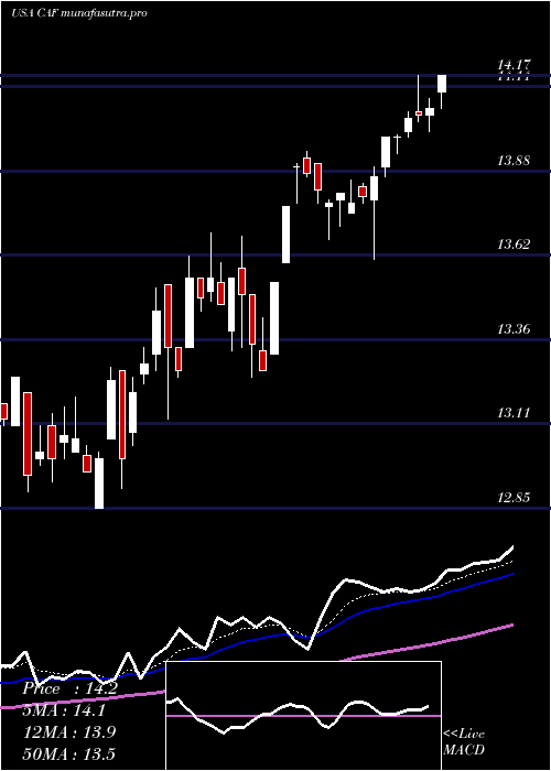 Daily chart MorganStanley