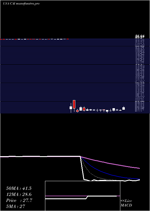 Daily chart CaiInternational