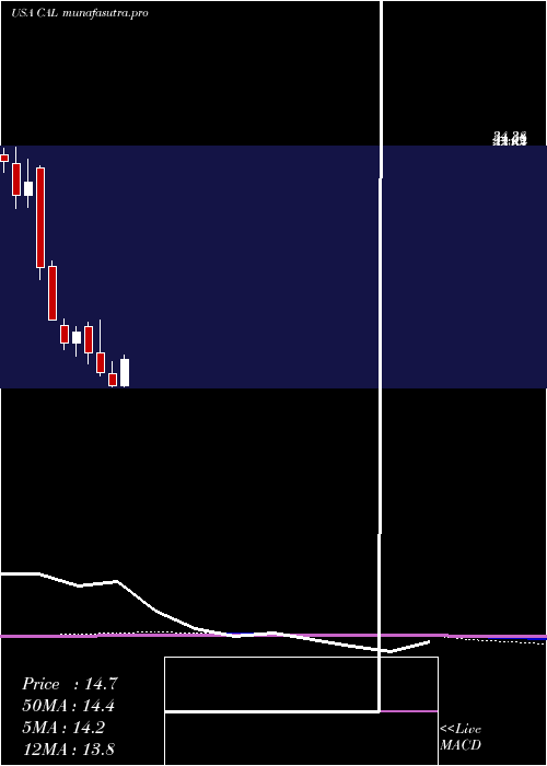 monthly chart CaleresInc