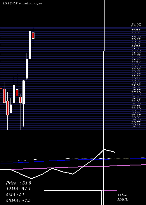 monthly chart CalixInc