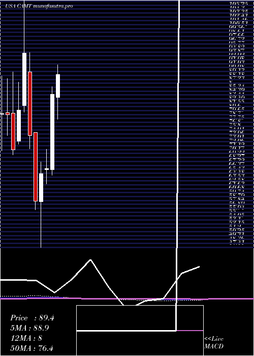 monthly chart Camtek