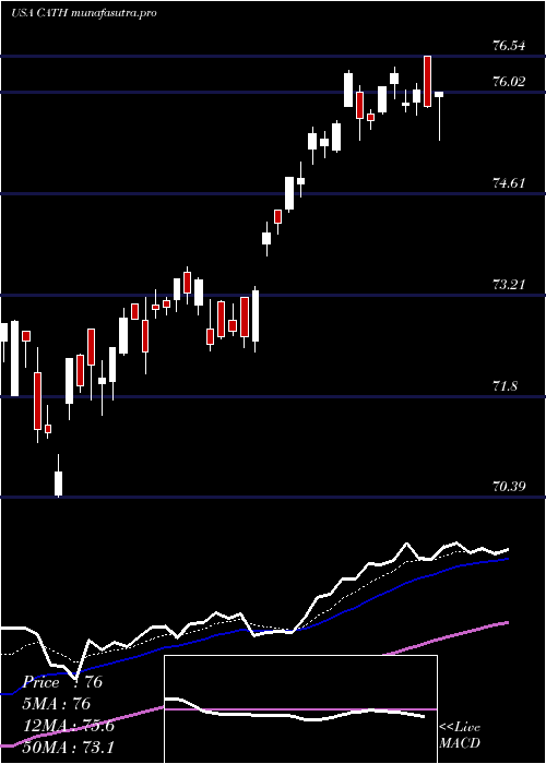 Daily chart GlobalX