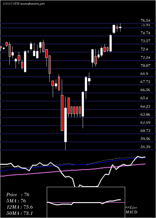 weekly chart GlobalX