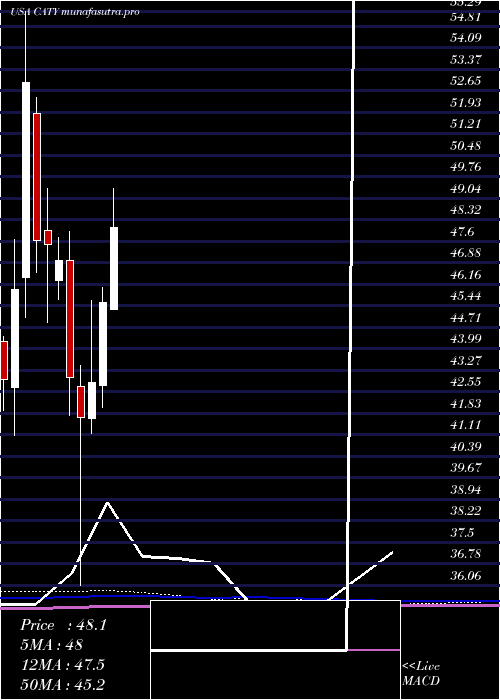 monthly chart CathayGeneral