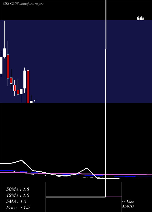  monthly chart CibusCorp