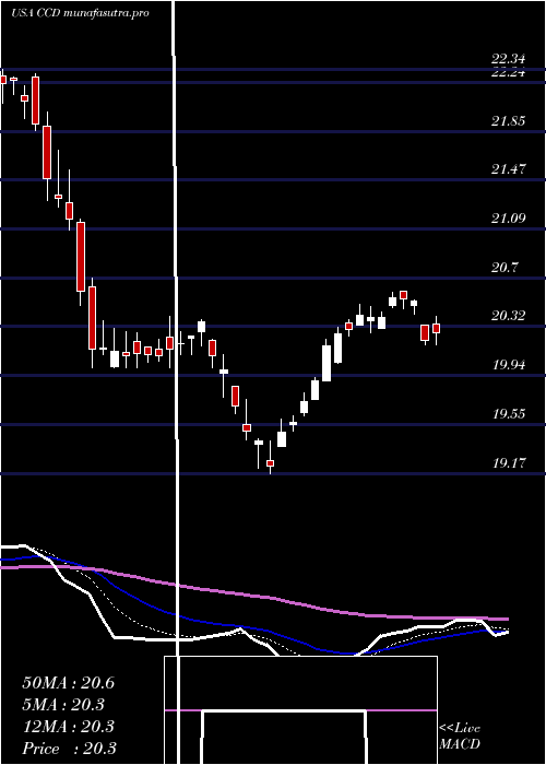 Daily chart CalamosDynamic
