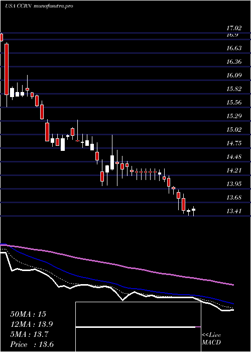  Daily chart CrossCountry