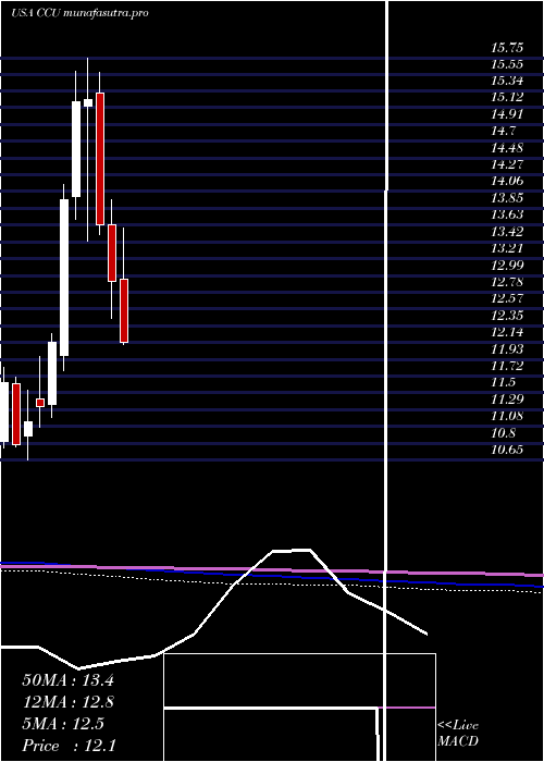 monthly chart CompaniaCervecerias