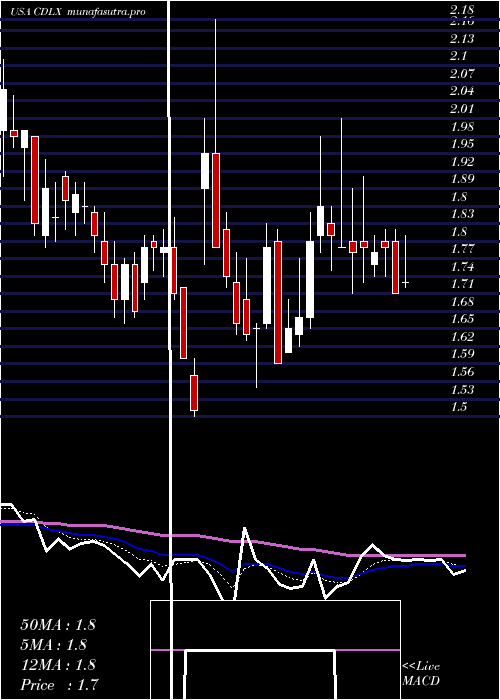 Daily chart CardlyticsInc