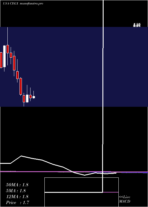 monthly chart CardlyticsInc