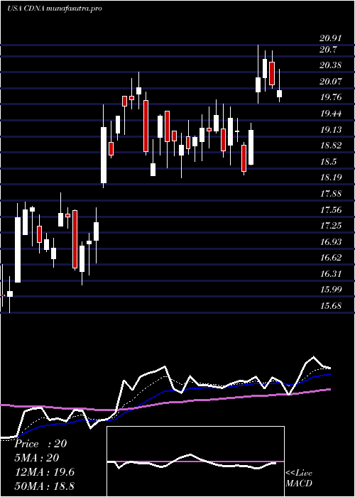 Daily chart CaredxInc