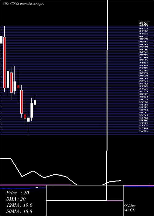 monthly chart CaredxInc
