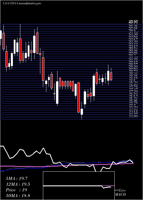 weekly chart CaredxInc
