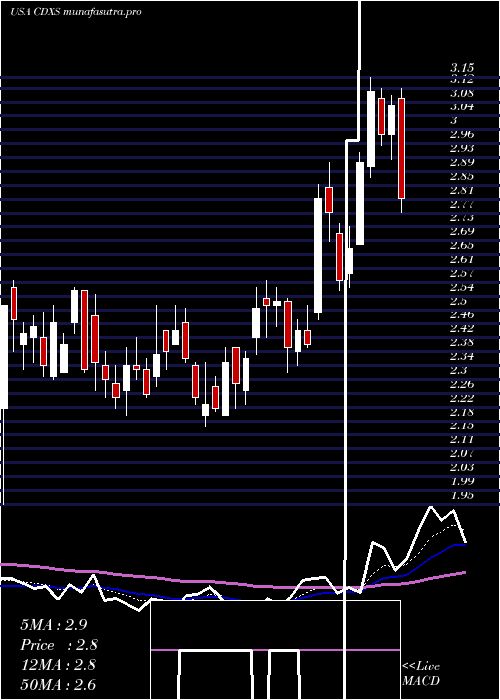 Daily chart CodexisInc