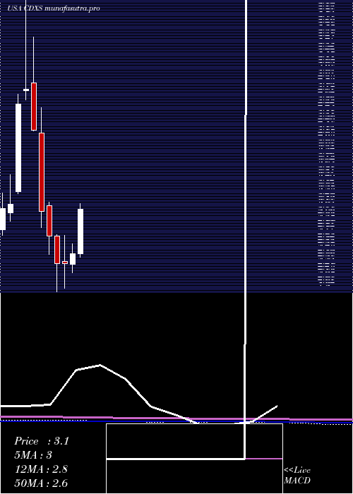 monthly chart CodexisInc